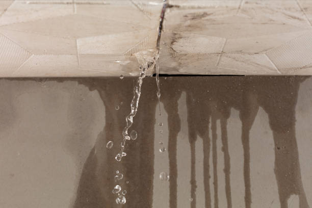 Professional Burst Pipe Cleanup technician working in Rockwood, IL